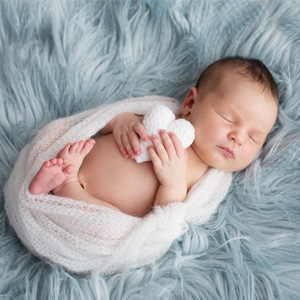 sized_photo_ob5_v1a2_imagery