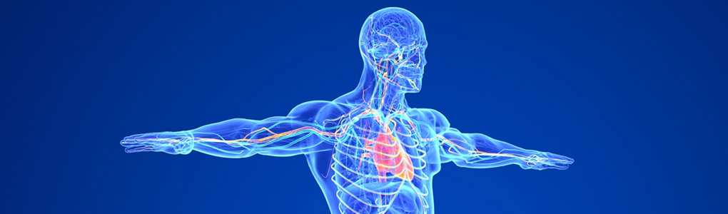VascularBanner_use